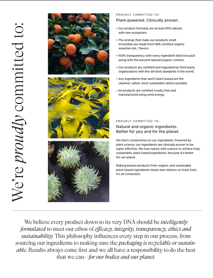 Why I-N Brochure